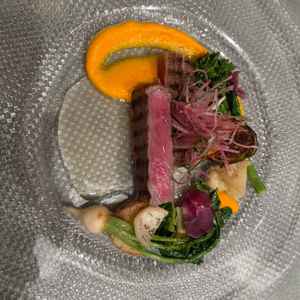 試食で提供された料理