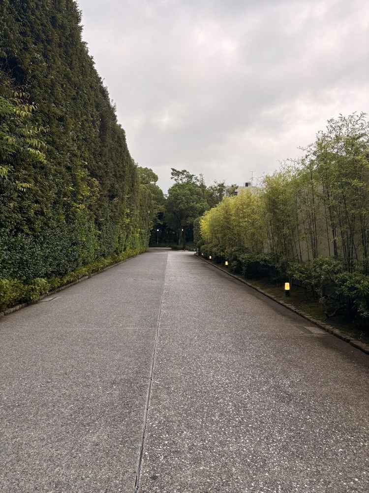 緑と竹に囲まれたアプローチで、到着時から特別感がありました。