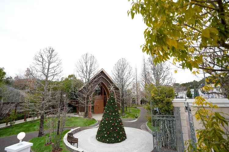 １２月は大きいツリーがあって家族がここで写真を撮ってました