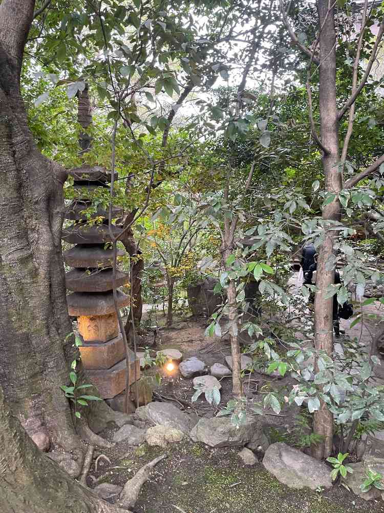 お庭が綺麗で癒されます