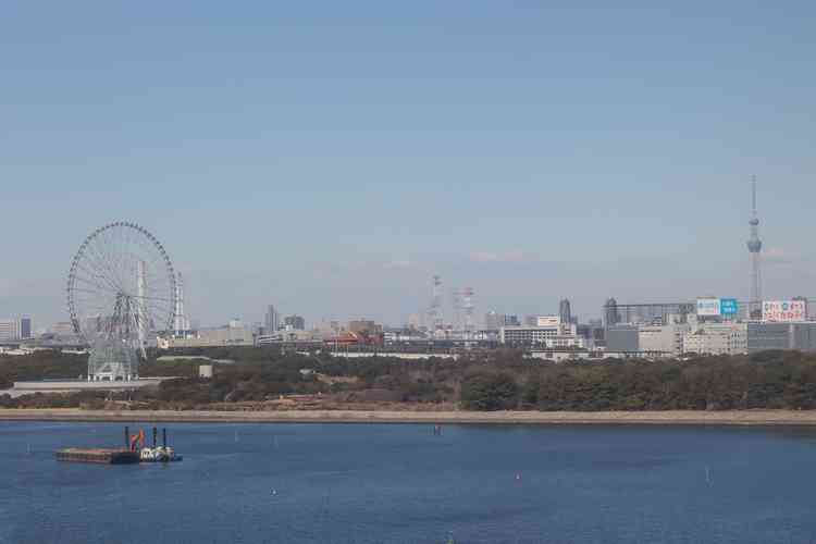 窓からは葛西臨海公園の観覧車が見えます