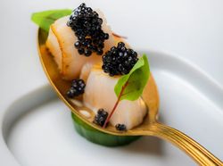 本日のアミューズ 1種