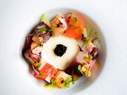 天使の海老 帆立貝 ツブ貝 目鉢鮪 蛸 サーモン カリフラワーのブランマンジェ グリーンマスタード マイクロリーフ アブリューガキャビア