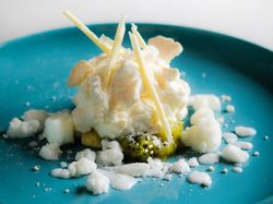 ヨーグルトのクレームダンジュ ベイクドチーズ キウイのクーリー ホワイトチョコのコポーとパウダー フロマージュブランのソルベ