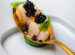 本日のアミューズ 1種