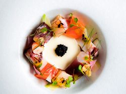 天使の海老 帆立貝 ツブ貝 目鉢鮪 蛸 サーモン カリフラワーのブランマンジェ グリーンマスタード マイクロリーフ アブリューガキャビア