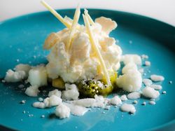 ヨーグルトのクレームダンジュ ベイクドチーズ キウイのクーリー ホワイトチョコのコポーとパウダー フロマージュブランのソルベ