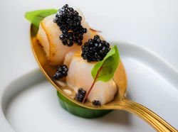 本日のアミューズ 1種