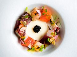 天使の海老 帆立貝 ツブ貝 目鉢鮪 蛸 サーモン カリフラワーのブランマンジェ グリーンマスタード マイクロリーフ アブリューガキャビア