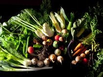 食材へのこだわり