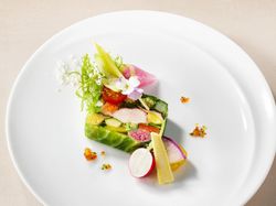 オマール海老と彩り野菜のプレッセ
旬菜のピュレとラヴィゴットコース