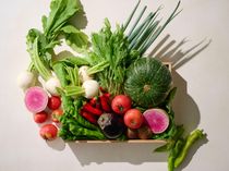 メニュー変更は季節に合わ回シェフ自らが市場に出向き目利きしたこだわりの食材を京都らしい調理法でご用意