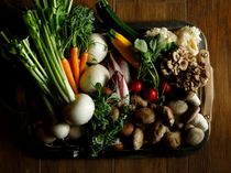 厳選された食材達