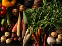 質の高い素材を厳選