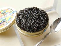 マジックキャビアサプライズ