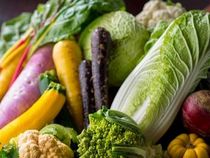 厳選された京都ならではの食材