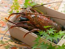 素材と温度にこだわった料理