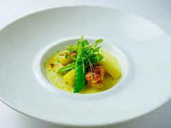 【オプション】帆⽴⾙のポワレとリー・ド・ヴォーのムニエル 季節野菜の軽いポタジェール
トリュフの香るペリゴール風ソースのアクセント