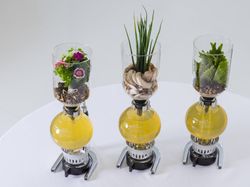 牛蒡と大葉のスープ