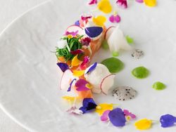 【前菜】ベストブライダルオリジナルメイドスモークサーモン 豆乳のフロマージュブラン仕立て フラワーシャワーのように