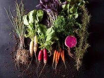 厳選された旬の食材を使用した料理で心からのおもてなしを