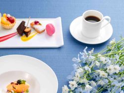 コーヒー or 紅茶