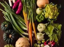 素材にこだわり抜いた一品