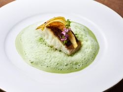真鯛のポワレとリゾット 淡い春菊に纏われて
