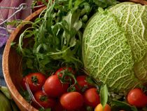 最良の一皿を…厨房とサービスの連携が美味しさの秘密