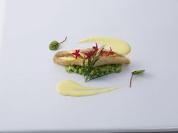 魚介料理 【和洋中からセレクト】