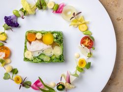 彩野菜のジュレテリーヌ