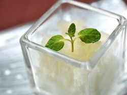 お口直しの季節のグラニテ