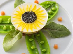 オードブル:海の幸のジュレ ~ひまわり~ ※パリ市長賞金賞の受賞作品