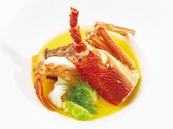 ~Brillante~ ブリランテ