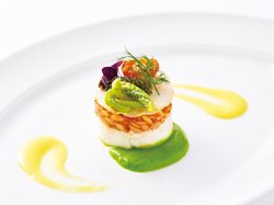 ~Gioia~ ジョイア