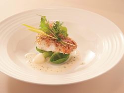 天然真鯛のポワレ
大分県産かぼすのソースヴァンブラン