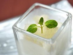 お口直しの季節のグラニテ