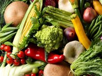 地元・兵庫の美味しさで最高のおもてなしが叶う!特別メニュー