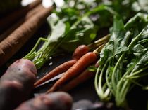 京野菜をふんだんに使用したお料理