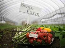 地元岐阜が育んだ滋味と北海道直送の自然の恵み
おいしく美しい、おもてなしのフランス料理