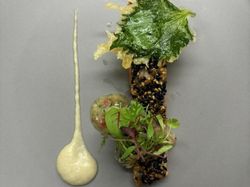 信州サーモンのミキュイ 黒胡麻のクラスト フェンネルと玉葱のピューレ 粒貝のヴィネグレット