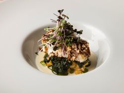真鯛のポワレ
落花生のコーヒーとバターを纏って
オレンジ風味のソース