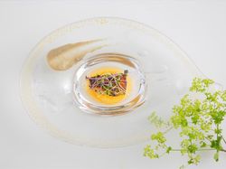 ドゥジェーム・フォアグラと春ごぼうのマリアージュ