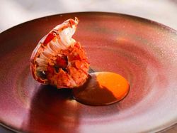 季節の旬の食材を取り入れた至高の一皿