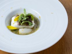 Poisson