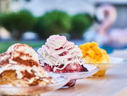 その他 オプション