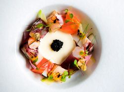 天使の海老 帆立貝 ツブ貝 目鉢鮪 蛸 サーモン カリフラワーのブランマンジェ グリーンマスタード マイクロリーフ アブリューガキャビア