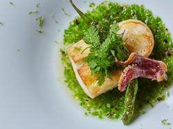 産地直送 下関 唐戸市場から届く鮮魚と帆立貝の一皿