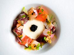 天使の海老 帆立貝 ツブ貝 目鉢鮪 蛸 サーモン カリフラワーのブランマンジェ グリーンマスタード マイクロリーフ アブリューガキャビア