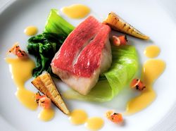 金目鯛 レタスのエチュベとサクラエビ ノイリーマリニエールソース